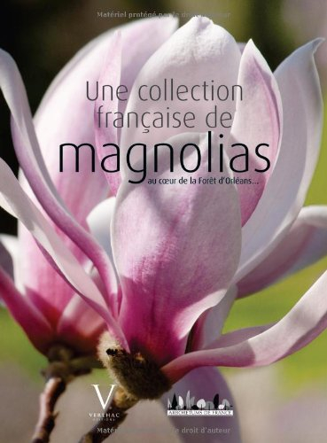 Une collection française de magnolias : au coeur de la forêt d'Orléans...