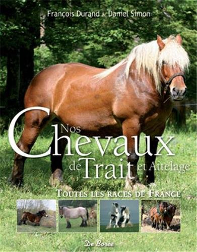 Nos chevaux de trait et attelage : toutes les races de France