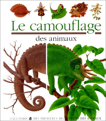 Le camouflage