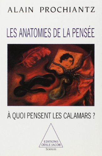 Les anatomies de la pensée : à quoi pensent les calamars ?