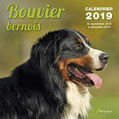 Bouvier bernois : calendrier 2019 : de septembre 2018 à décembre 2019