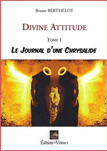 divine attitude tome 1 le journal d'une chrysalide