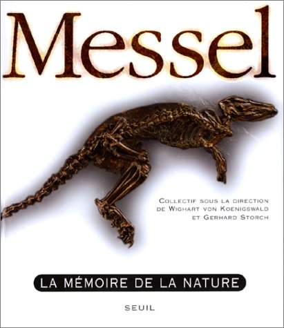 Messel : la mémoire de la nature