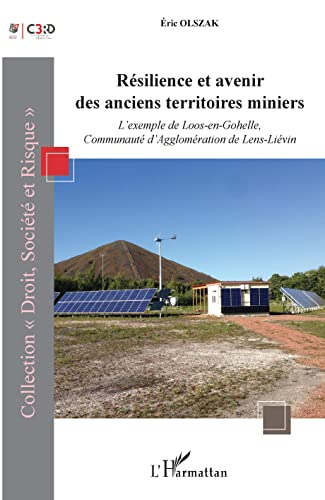 Résilience et avenir des anciens territoires miniers : l'exemple de Loos-en-Gohelle, communauté d'ag