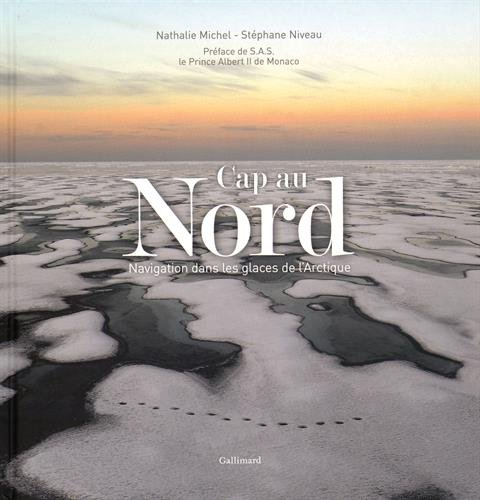 Cap au Nord : navigation dans les glaces de l'Arctique