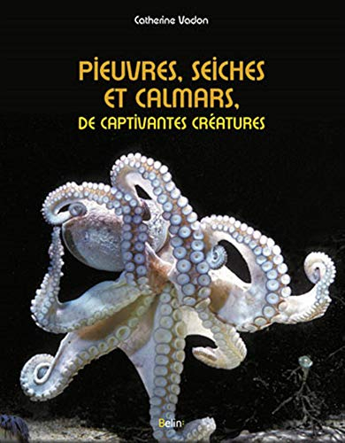 Pieuvres, seiches et calmars, de captivantes créatures