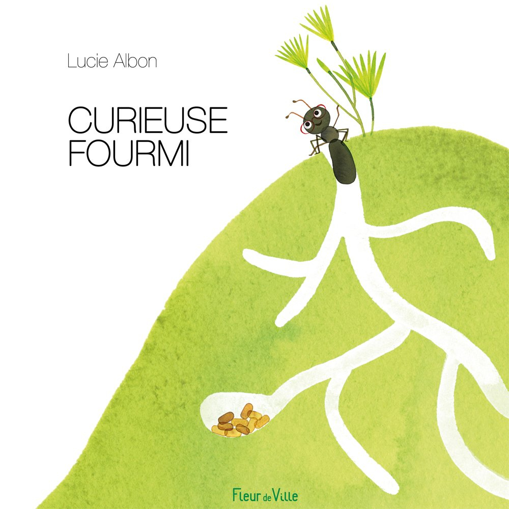 Curieuse fourmi