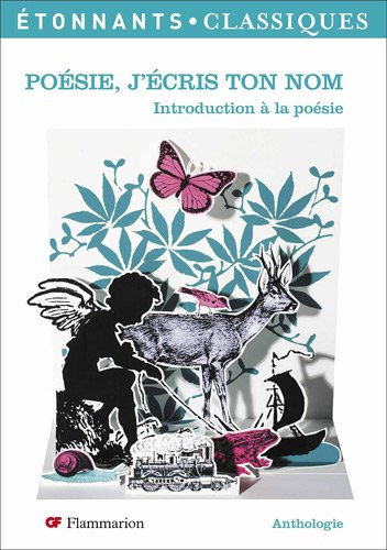 Poésie, j'écris ton nom : introduction à la poésie