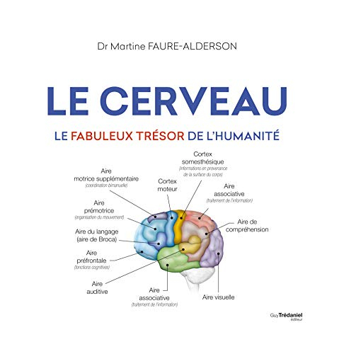 Le cerveau : le fabuleux trésor de l'humanité