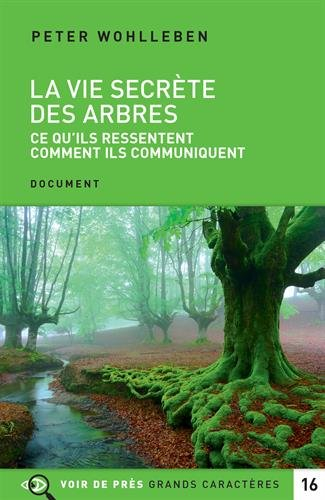 La vie secrète des arbres : ce qu'ils ressentent, comment ils communiquent : un monde inconnu s'ouvr