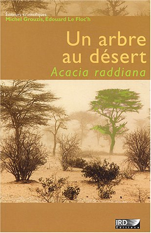 Un arbre au désert, Acacia raddiana