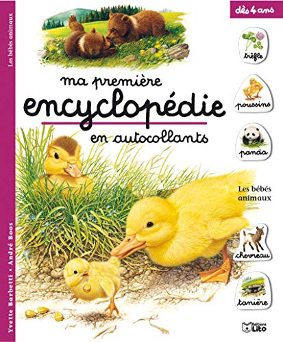 Les bébés animaux
