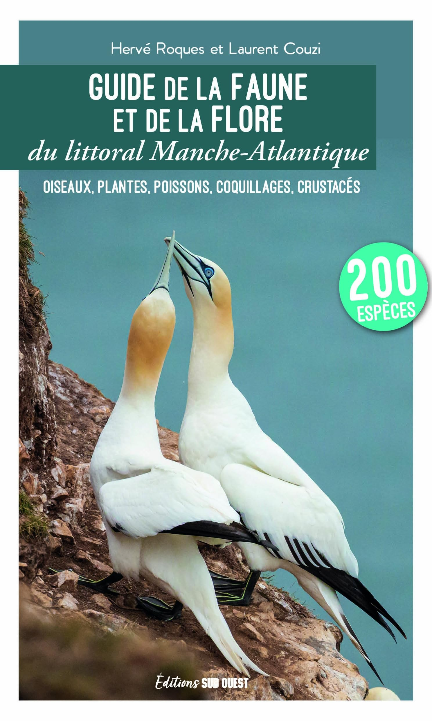 Guide de la faune et de la flore du littoral Manche-Atlantique : oiseaux, plantes, poissons, coquill