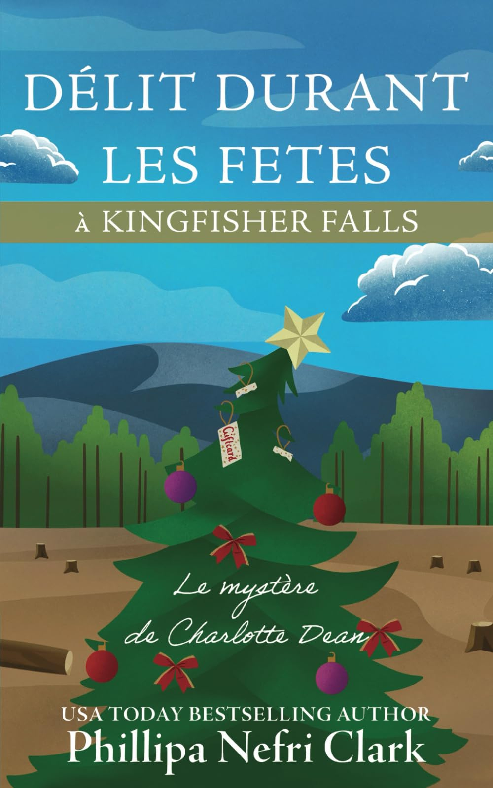 Délit durant les fêtes à Kingfisher Falls: Mystère d'une librairie de Noël d'une petite ville