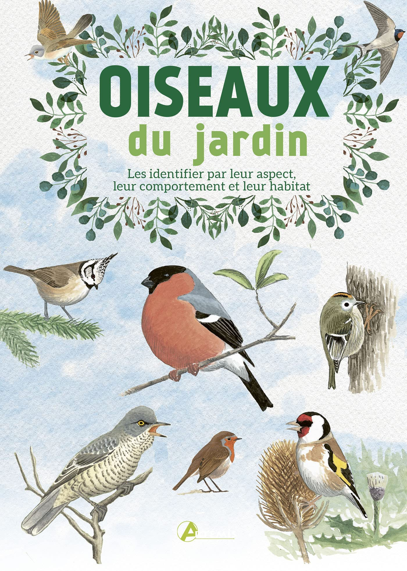 Oiseaux du jardin : les identifier par leur aspect, leur comportement et leur habitat
