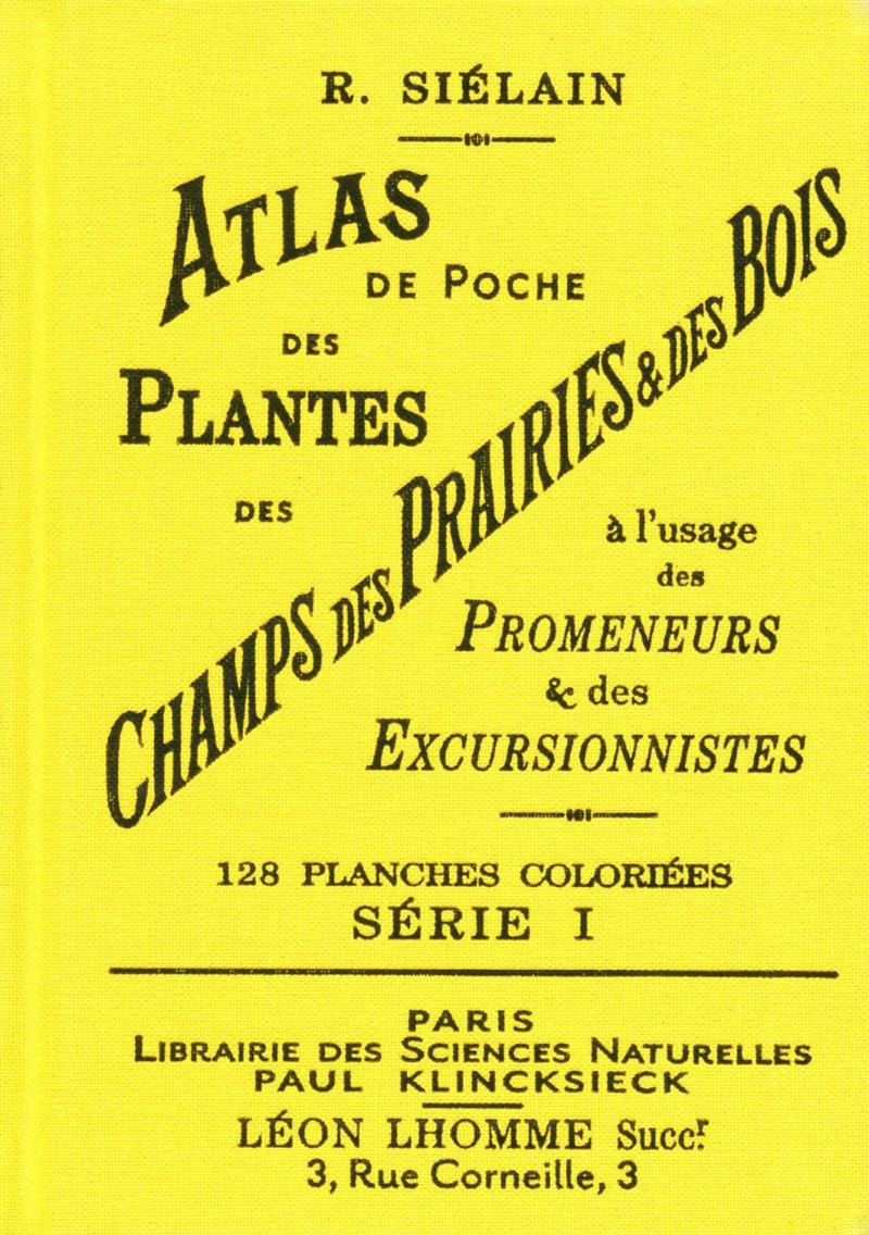 Atlas de poche des plantes des champs, des prairies et des bois : à l'usage des promeneurs et des ex