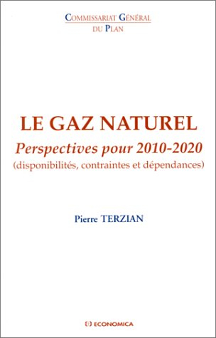 Le gaz naturel, perspectives pour 2010-2020 : disponibilités, contraintes et dépendances