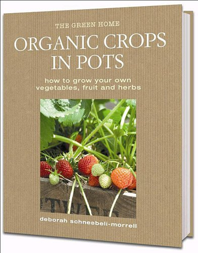 Cultiver bio en pots : comment faire pousser vous-mêmes vos fruits, légumes et herbes aromatiques