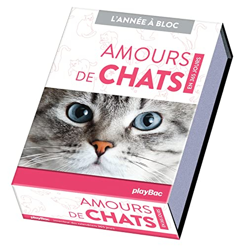 Amours de chats : en 365 jours