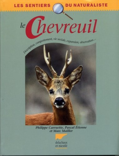 Le chevreuil : description, comportement, vie sociale, expansion, observation...
