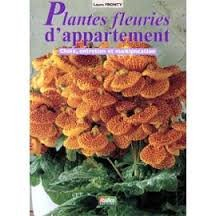 Plantes fleuries d'appartement