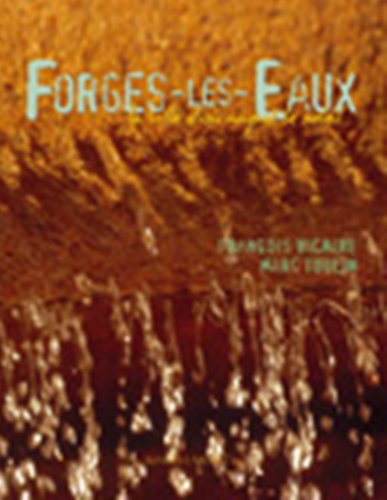 Forges-les-Eaux : la ville d'où naquit le soleil