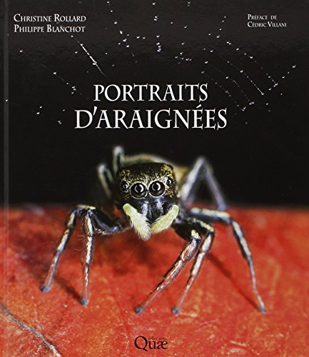 Portraits d'araignées