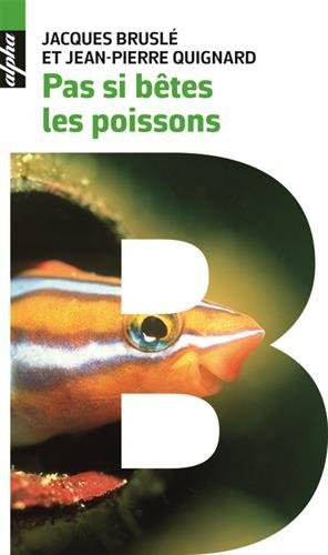 Pas si bêtes les poissons : scènes de leur vie intime