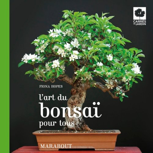 L'art du bonsaï pour tous