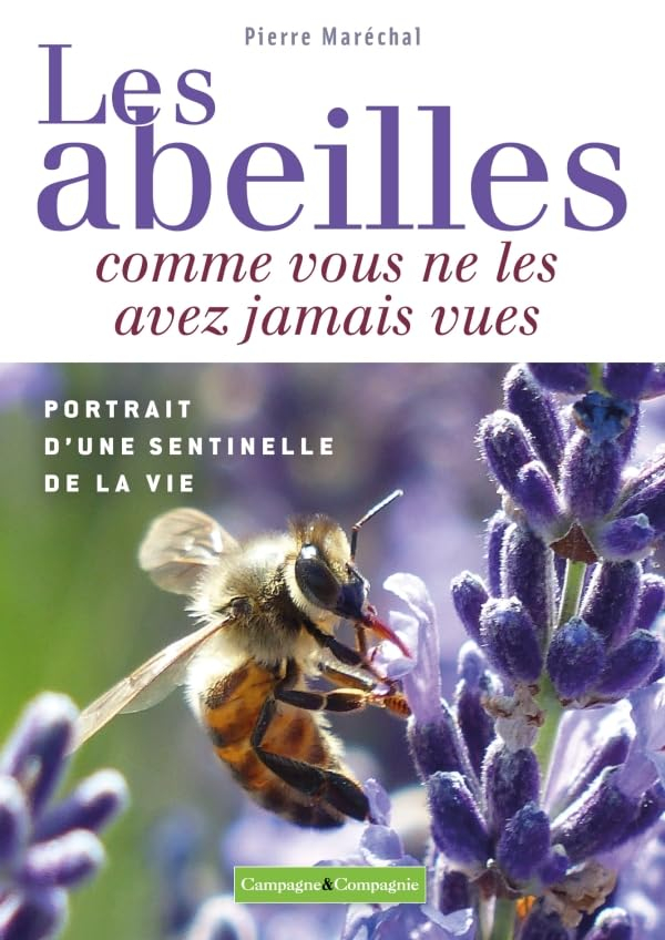 Les abeilles comme vous ne les avez jamais vues : portrait d'une sentinelle de la vie