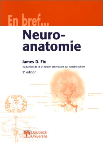 neuro-anatomie