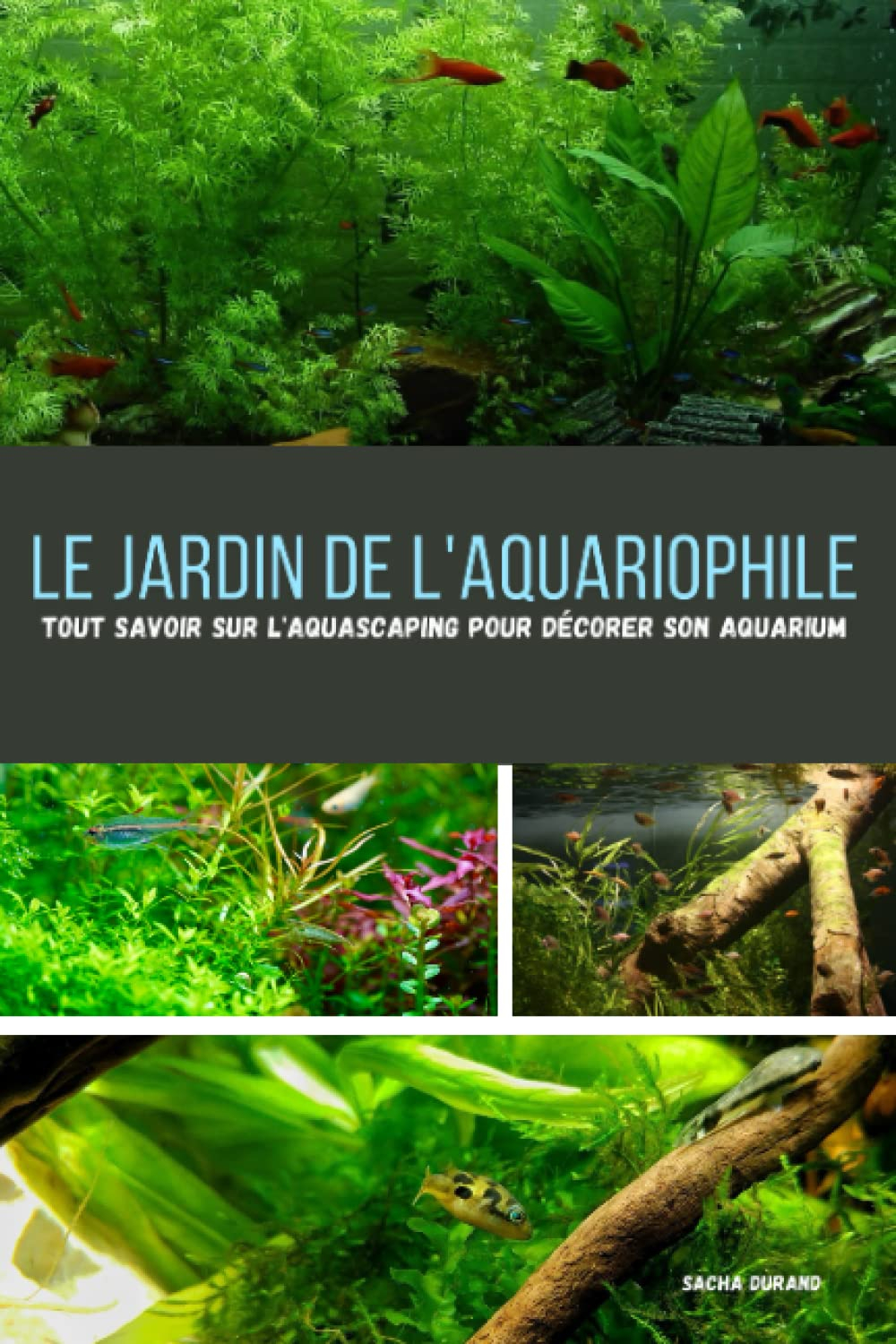 Le jardin de l'aquariophile: Tout savoir sur l'aquascaping pour décorer son aquarium