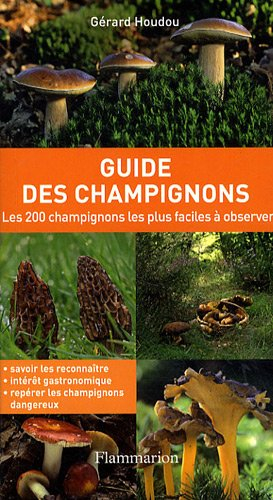 Guide des champignons : les 200 champignons les plus faciles à observer
