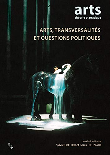 Arts, transversalités et questions politiques