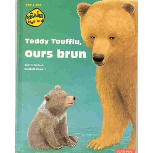 Teddy Toufflu, ours brun