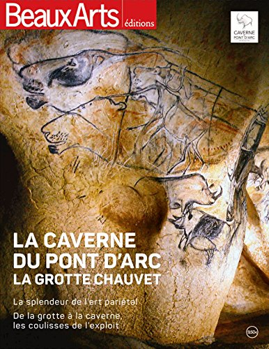 La caverne du Pont d'Arc, la grotte Chauvet : la splendeur de l'art pariétal : de la grotte à la cav