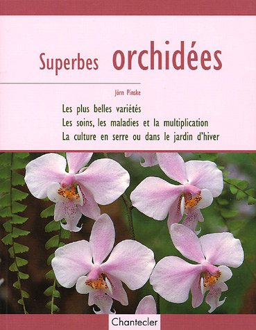 Superbes orchidées : les plus belles variétés, les soins, les maladies et la multiplication, la cult