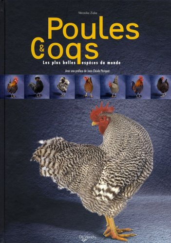 Poules & coqs : les plus belles espèces du monde