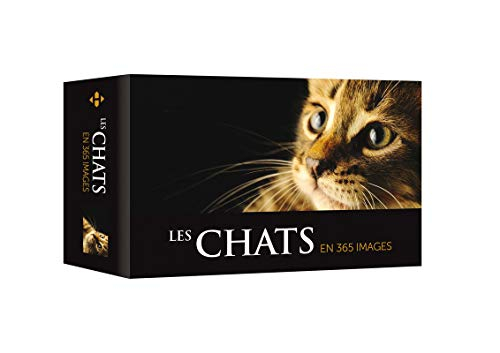 Les chats en 365 images