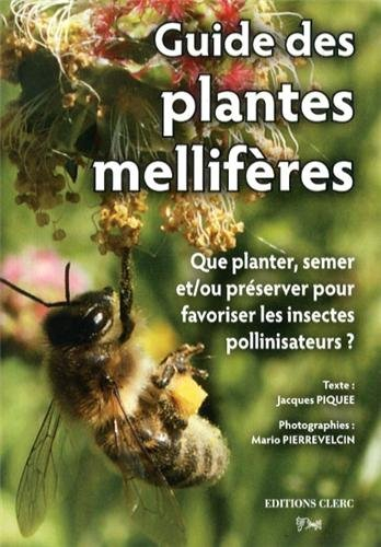 guide des plantes mellifères : que planter, semer et/ou préserver pour favoriser les insectes pollin