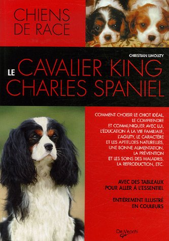 Le cavalier king-charles spaniel : comment choisir le chiot idéal, le comprendre et communiquer avec