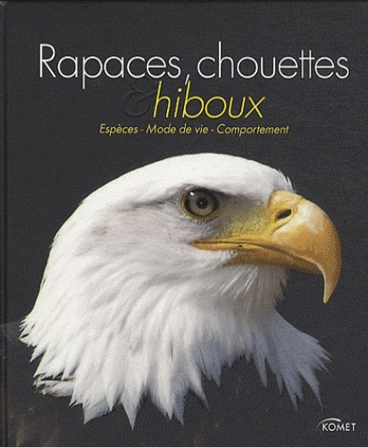 Rapaces, chouettes & hiboux