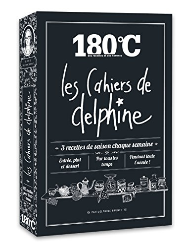 les cahiers de delphine : coffret en 4 volumes : printemps , eté , automne , hiver