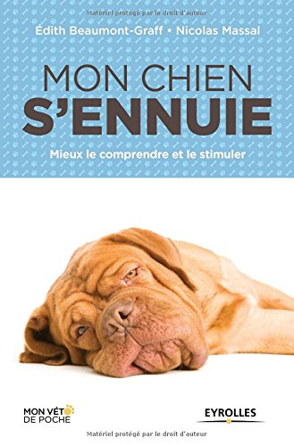 Mon chien s'ennuie : mieux le comprendre et le stimuler