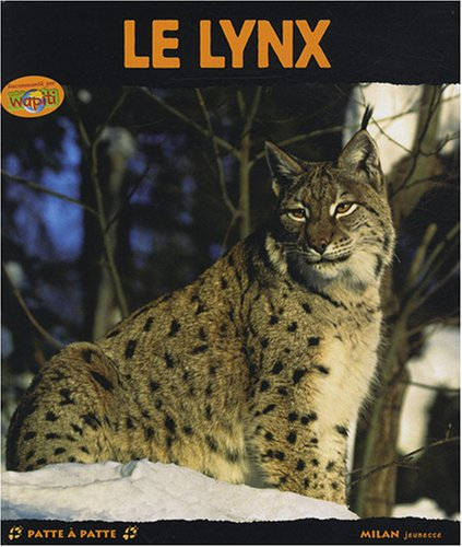 Le lynx : chasseur solitaire