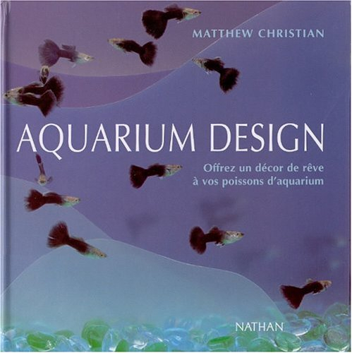 Aquarium design : donnez un habitat de rêve à vos poissons