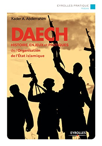 Daech : histoire, enjeux et pratiques de l'organisation Etat islamique