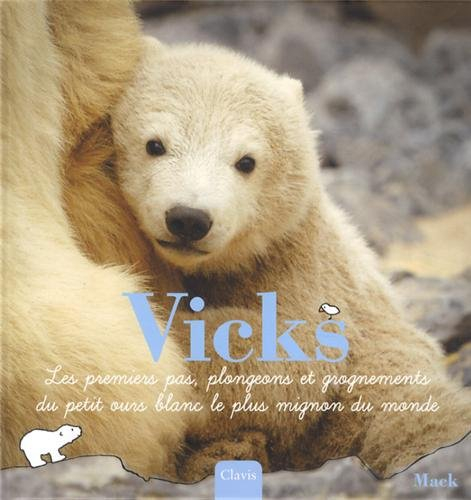Vicks : les premiers pas, plongeons et grognements du petit ours blanc le plus mignon du monde