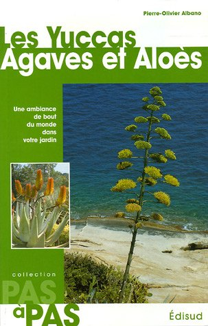 Les yuccas, agaves et aloès : une ambiance du bout du monde dans votre jardin