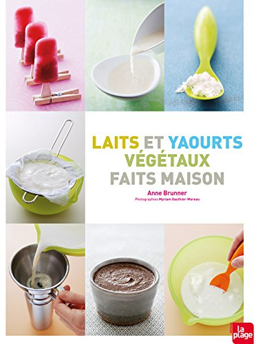 Laits et yaourts végétaux faits maison